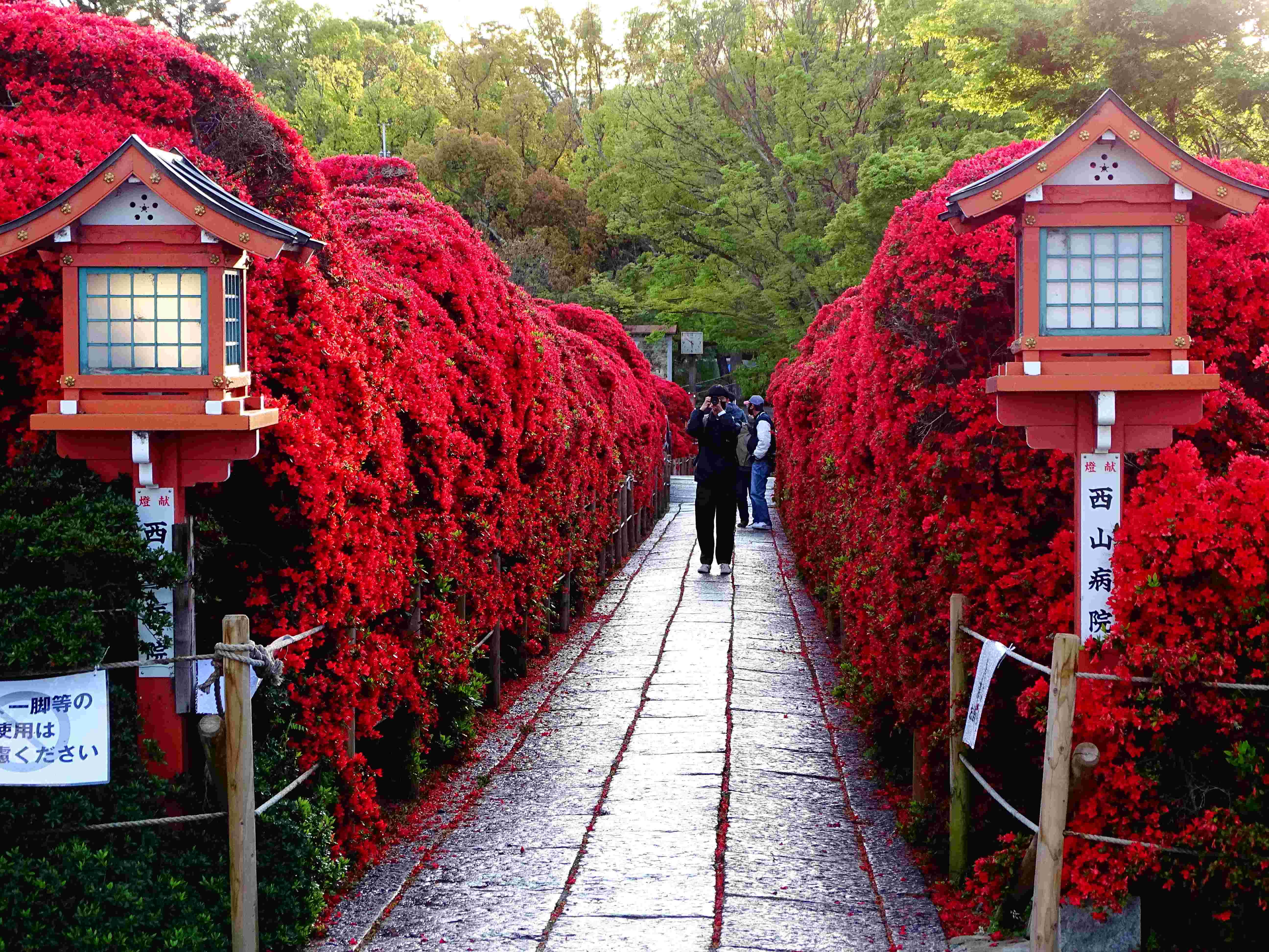 ⛩️ 나가오카 덴만구 신사 이미지 6